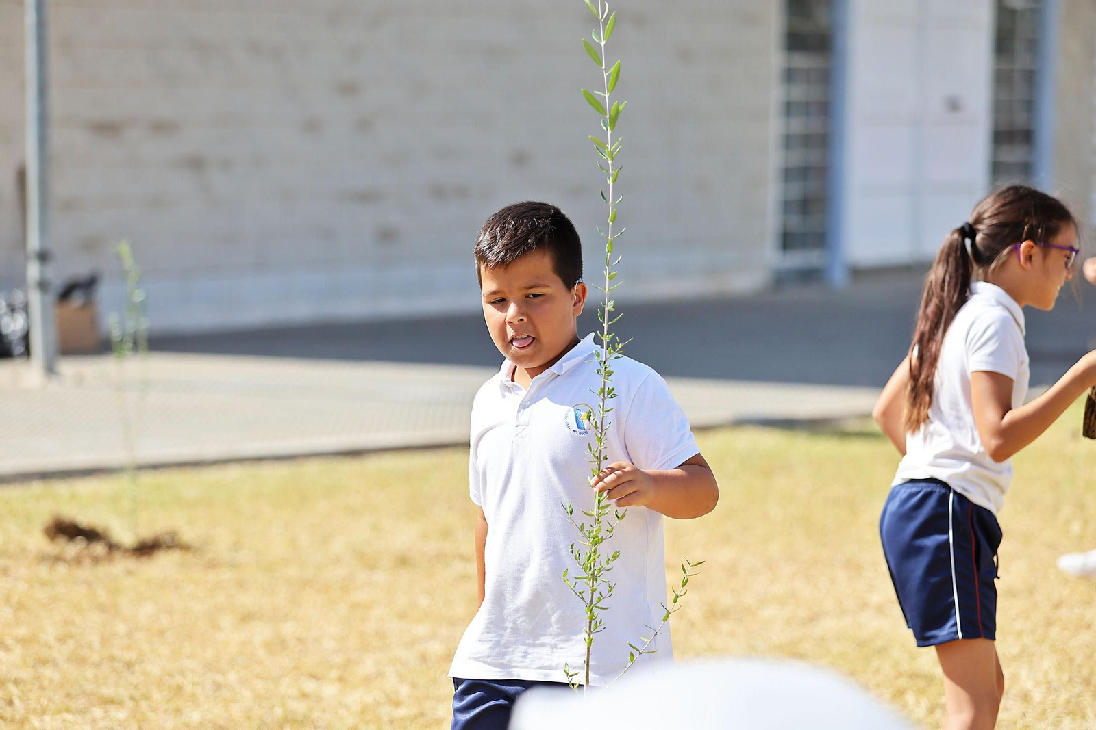 Los alumnos del colegio Virgen del Rocío realizan una plantación de arboles en el Hospital Juan Ramón Jiménez