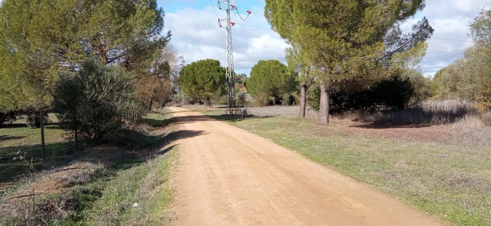 Las imágenes de la ruta ornitológica del corredor verde