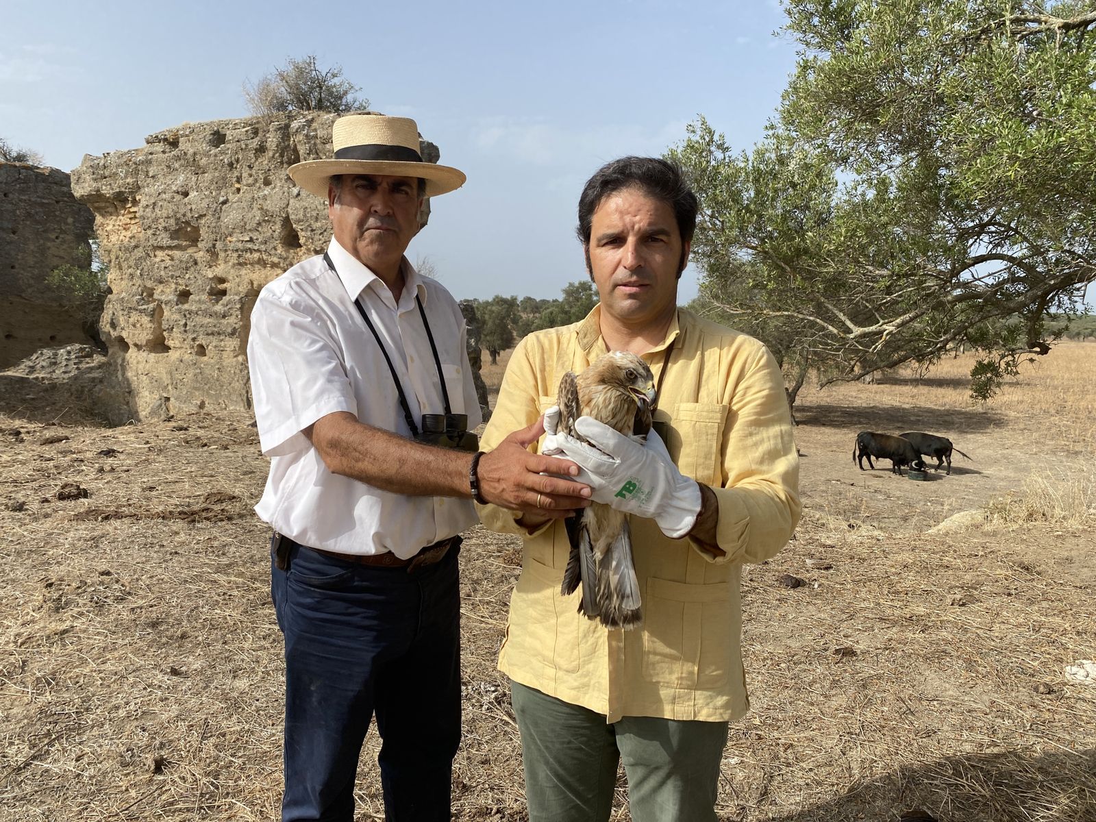 Una de las especies liberadas en San Juan