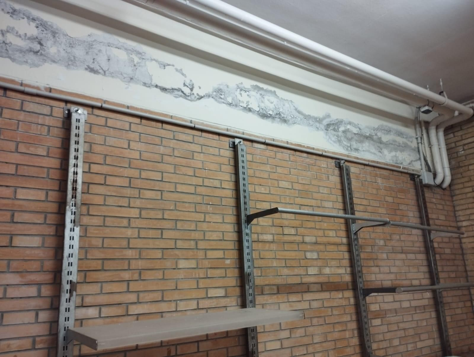 Humedades en el CEIP San Pablo, uno de los colegios más críticos con la actuación municipal.