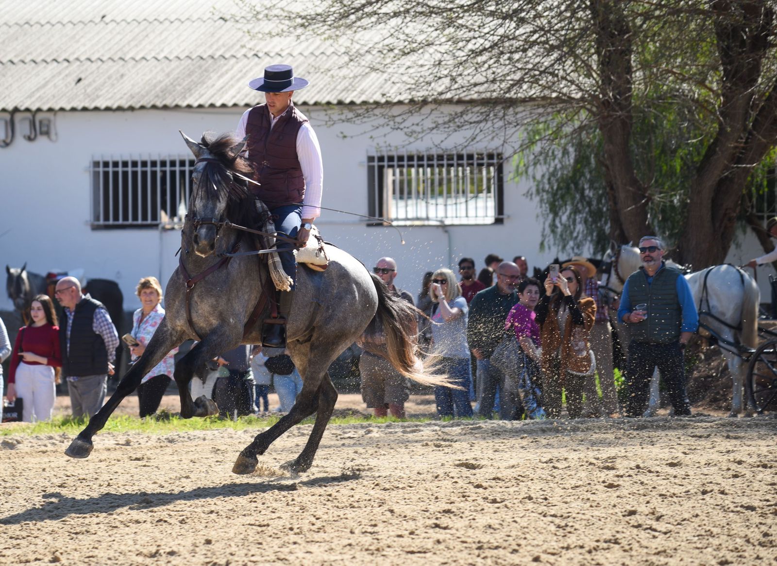 Las mejores imágenes de la Marcha Hípica Córdoba a Caballo del 28F de 2026