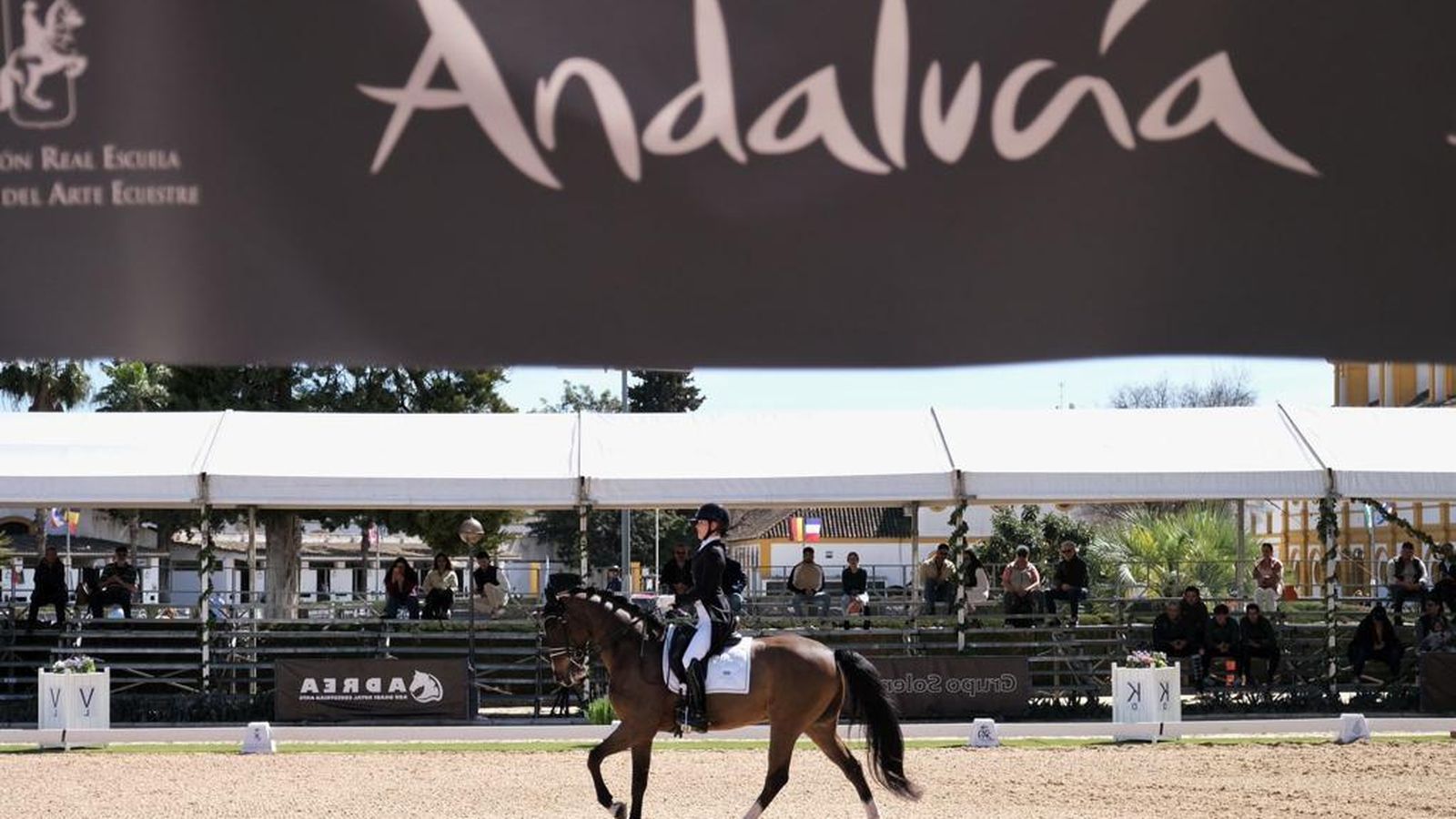 La Real Escuela acoge hasta este sábado el Concurso Internacional 50 Aniversario.
