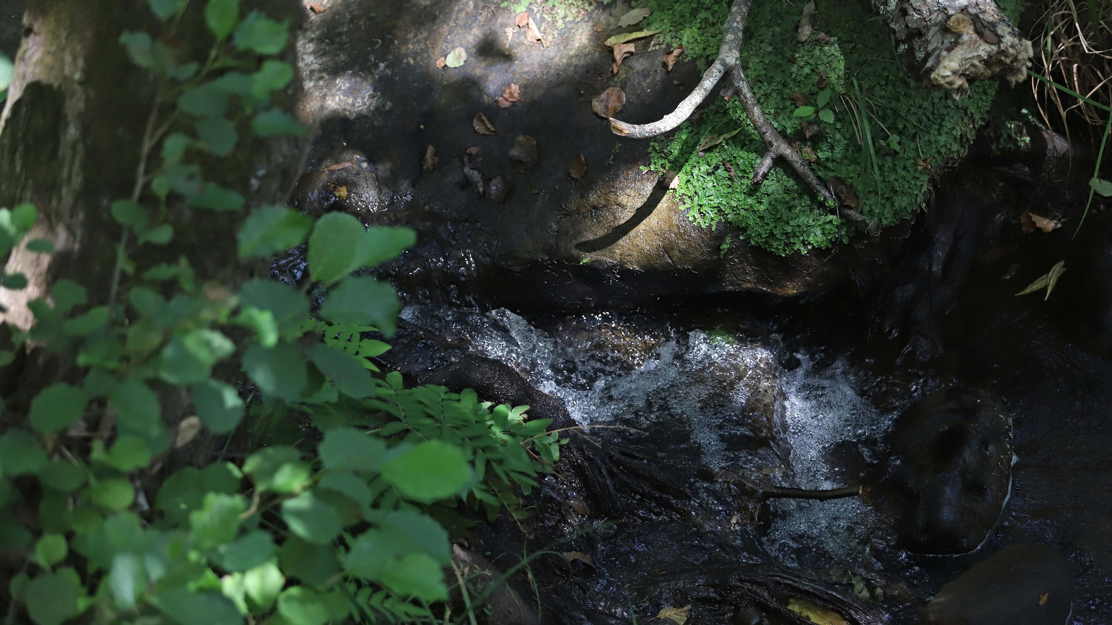 Las mejores fotos de la Montera del Torero y Valdeinfierno