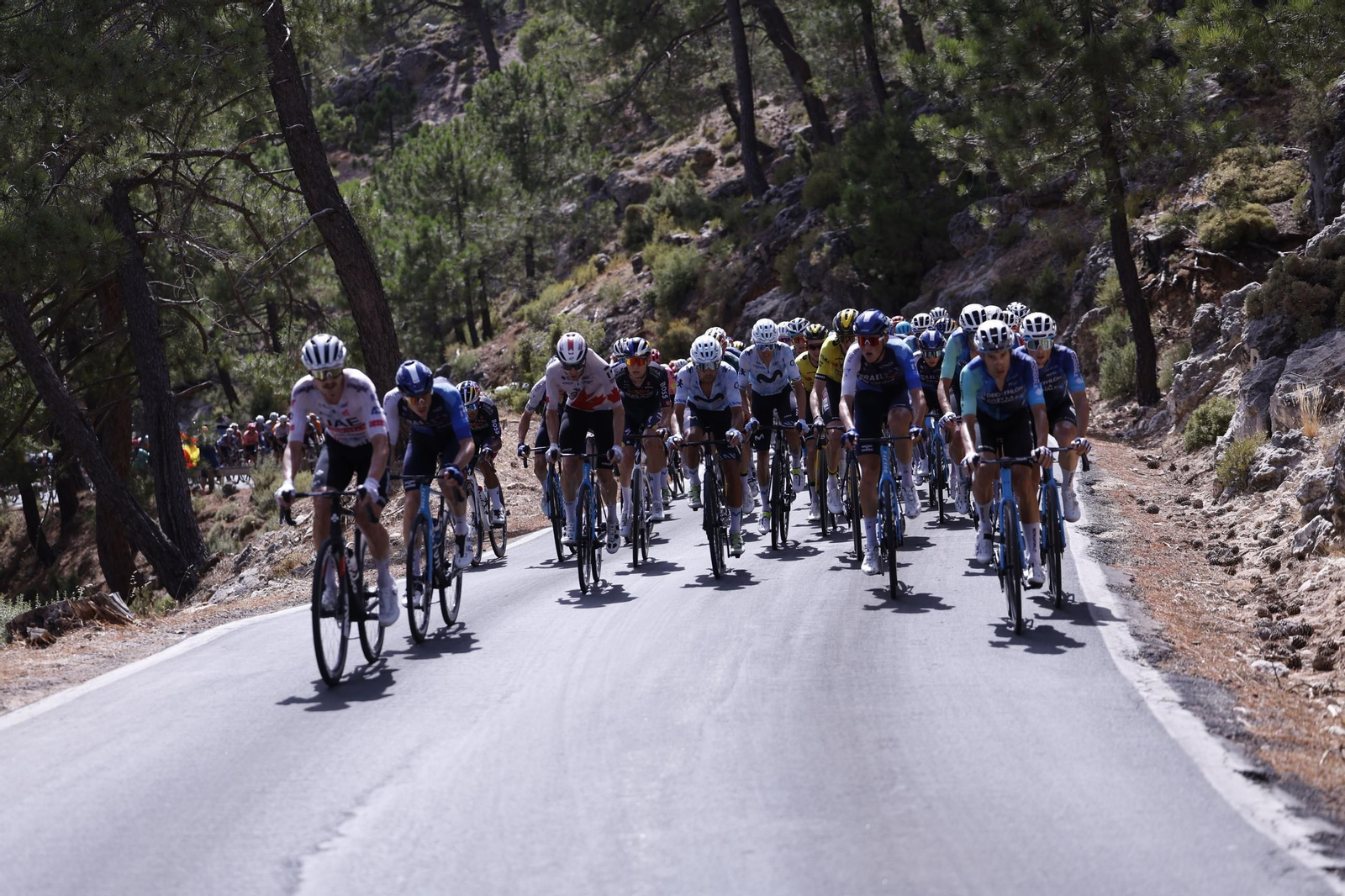 Las mejores fotos de la Vuelta a España | Etapa 8