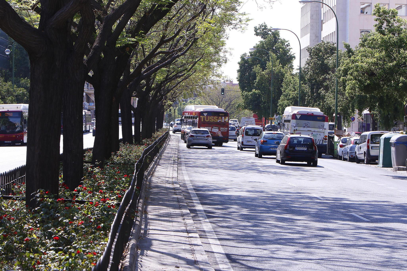 La avenida Luis de Morales perderá sus árboles de la mediana con la obra del tranvía.