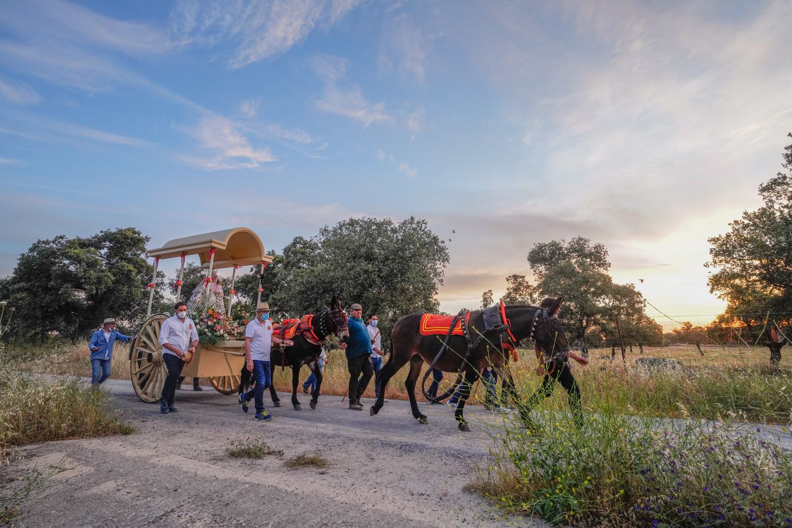 La llevada de la Virgen de Luna al santuario de La Jara, en fotografías
