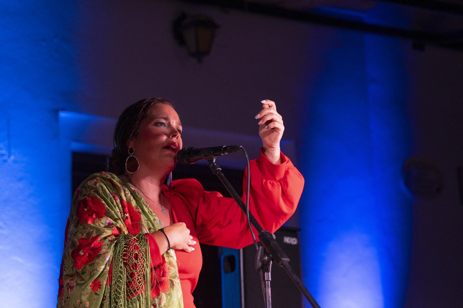 Las mejores imágenes del Festival de Flamenco en Fondón