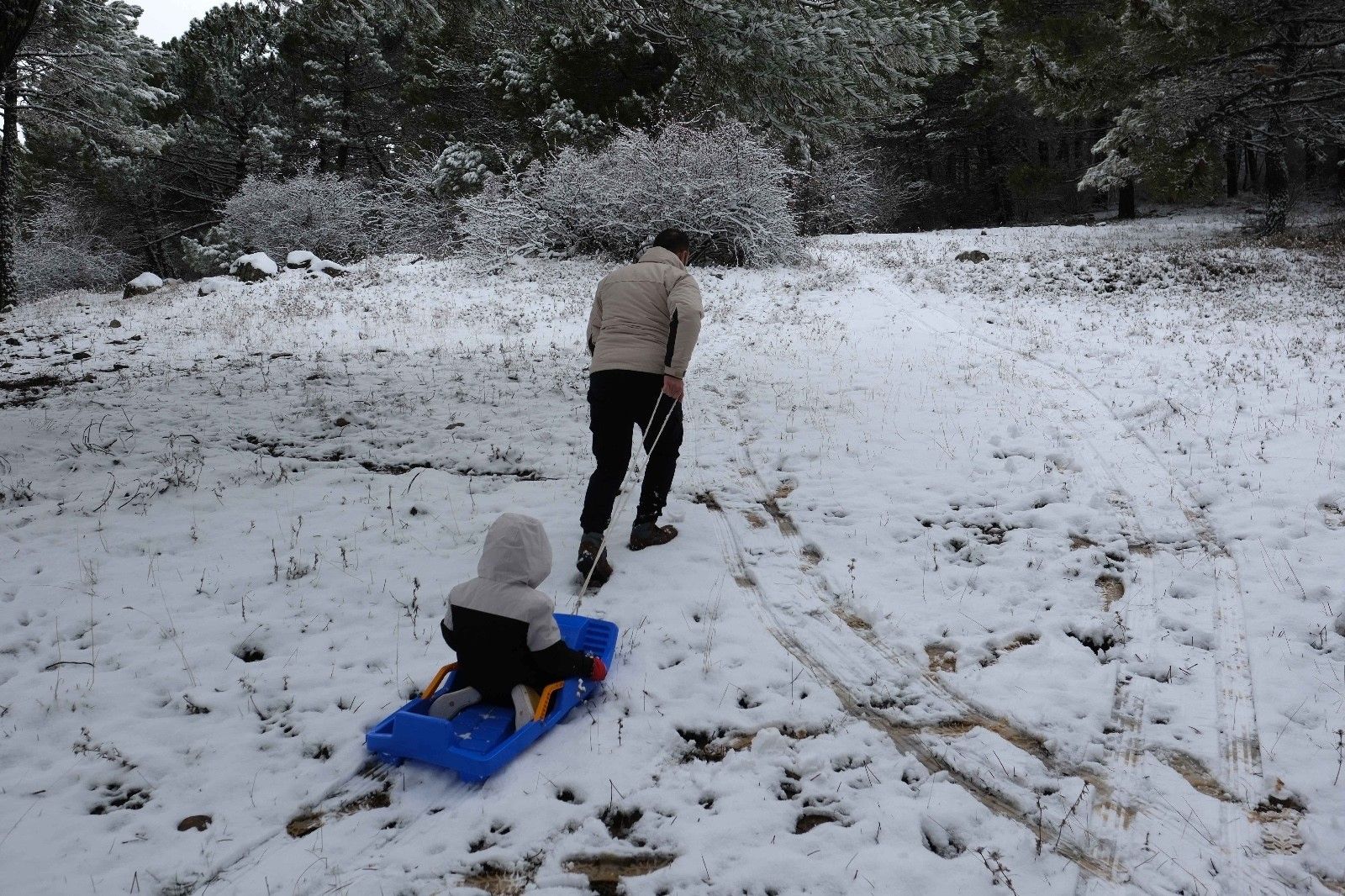Última nevada en la Serranía de Ronda.