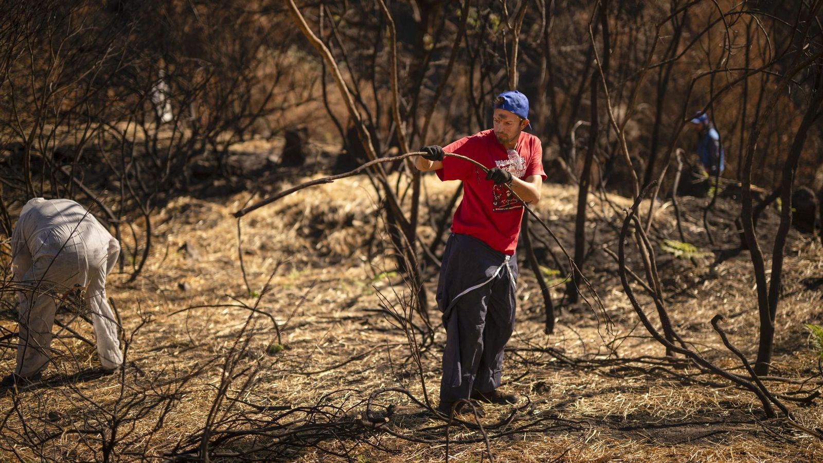 Un voluntario corta ramas para usarlas en los diques.