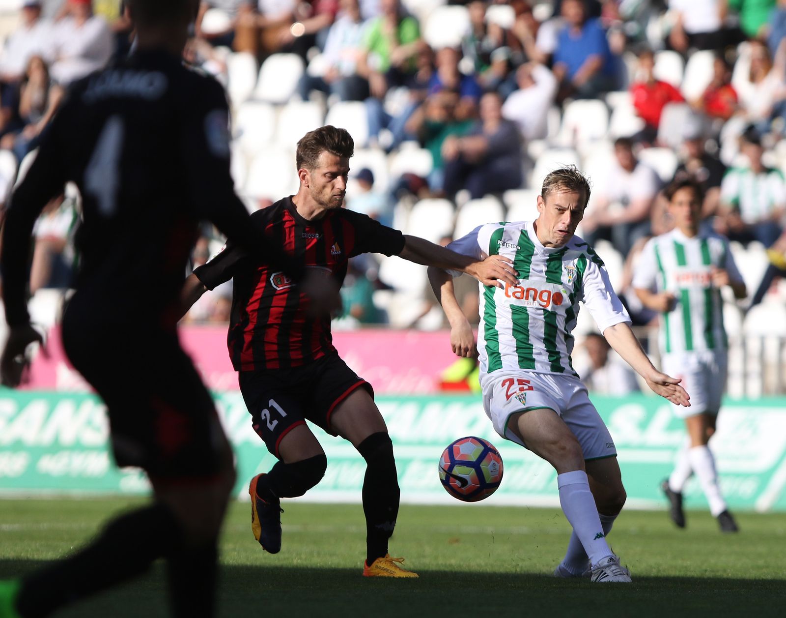 Las imágenes del Córdoba-Reus