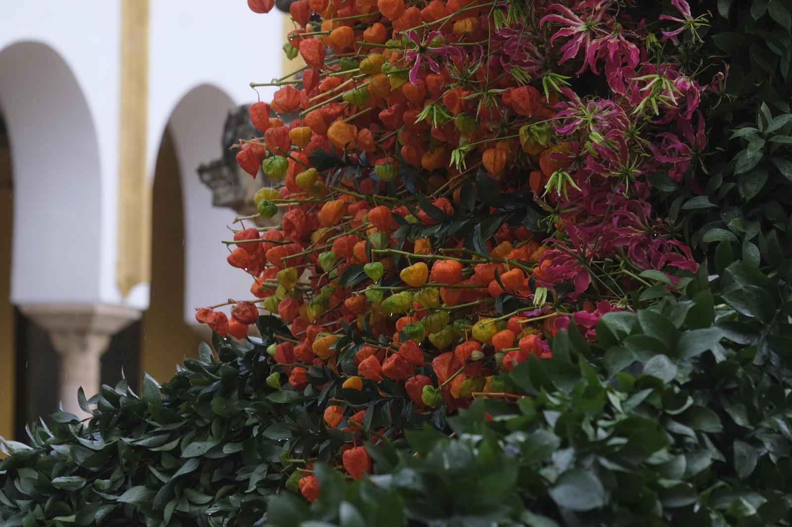 Un recorrido por los patios del Festival Flora 2022 de Córdoba, en imágenes