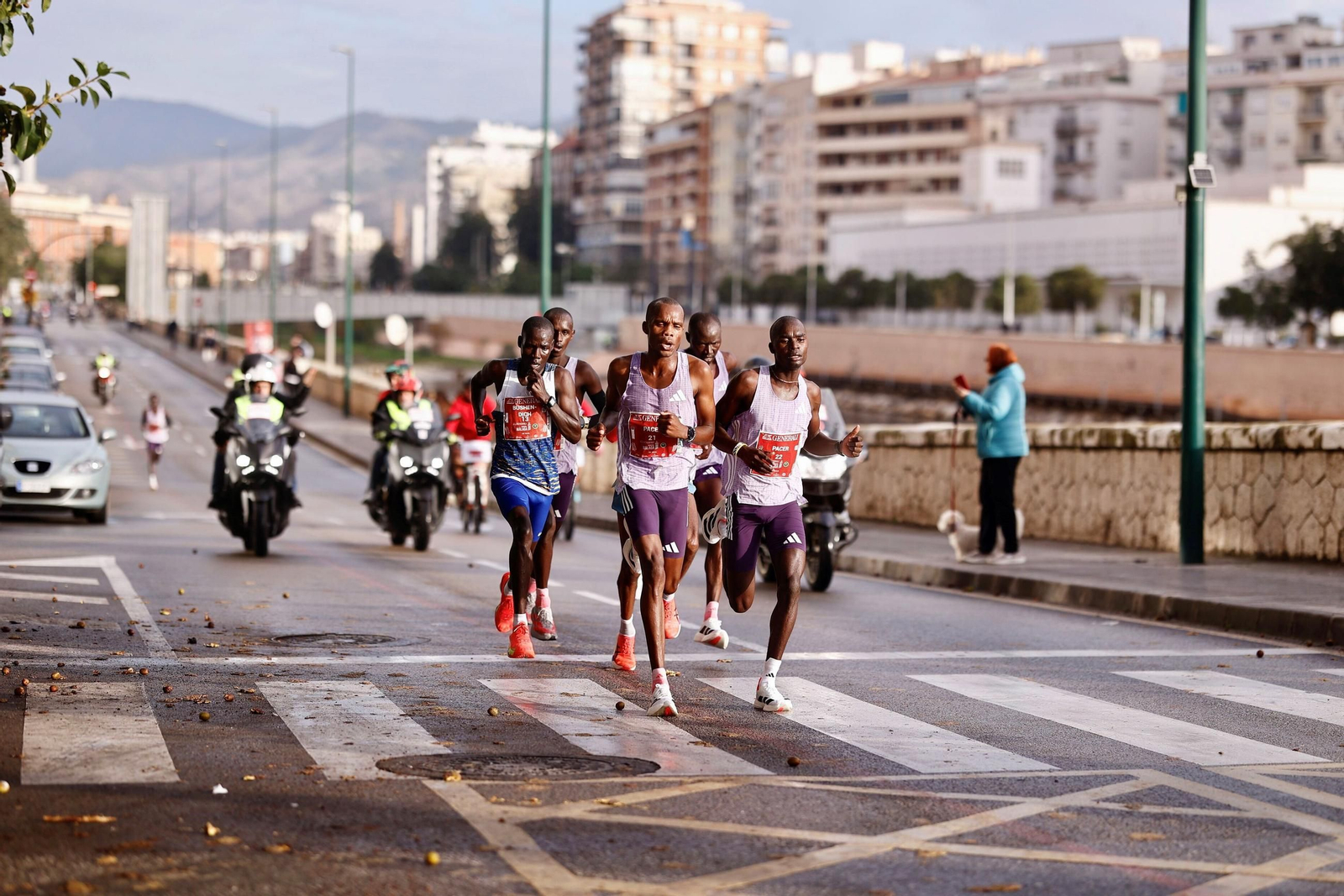 Las fotos de la Maratón de Málaga 2025