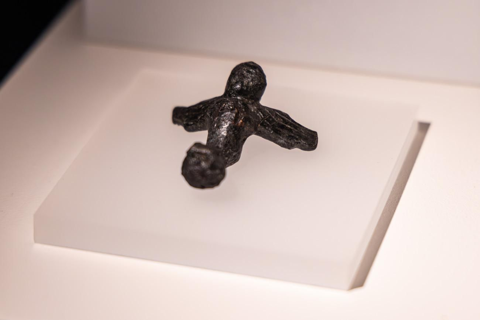 Presentación de la Exposición Seres de Ultratumba