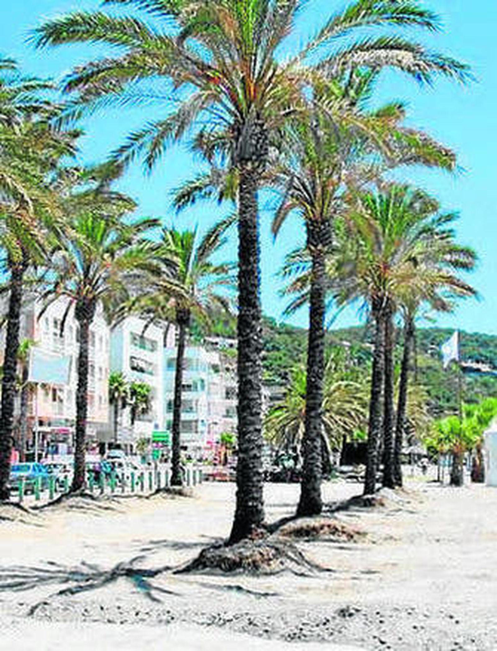 La zona se acondicionará con arena.