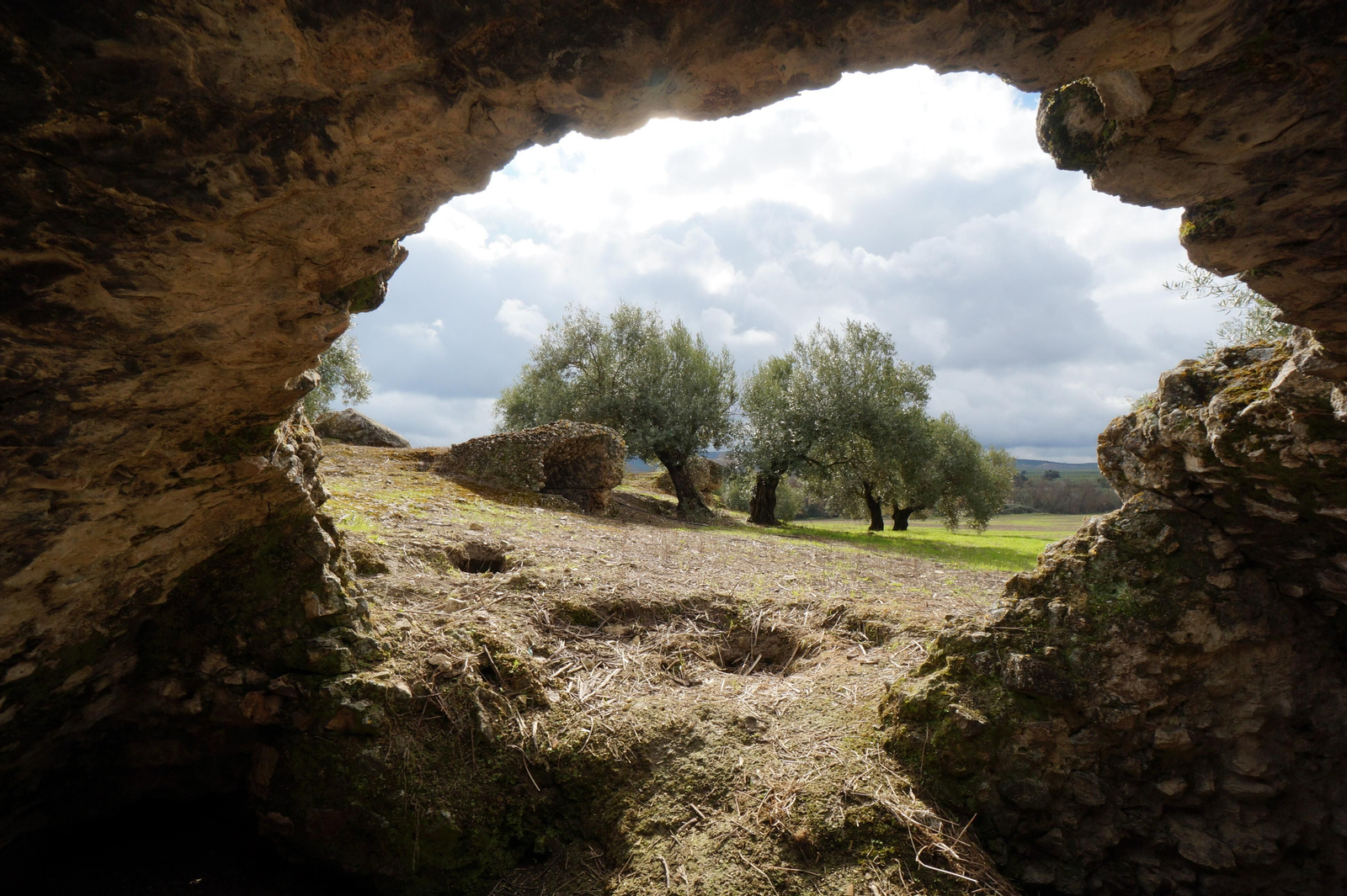 Los silos romanos del Carchena en Castro del Río, en fotografías