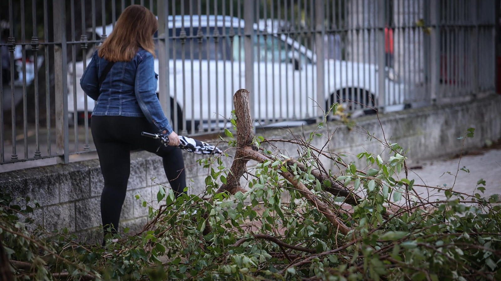 Así está Jerez tras el paso de 'Bernard'