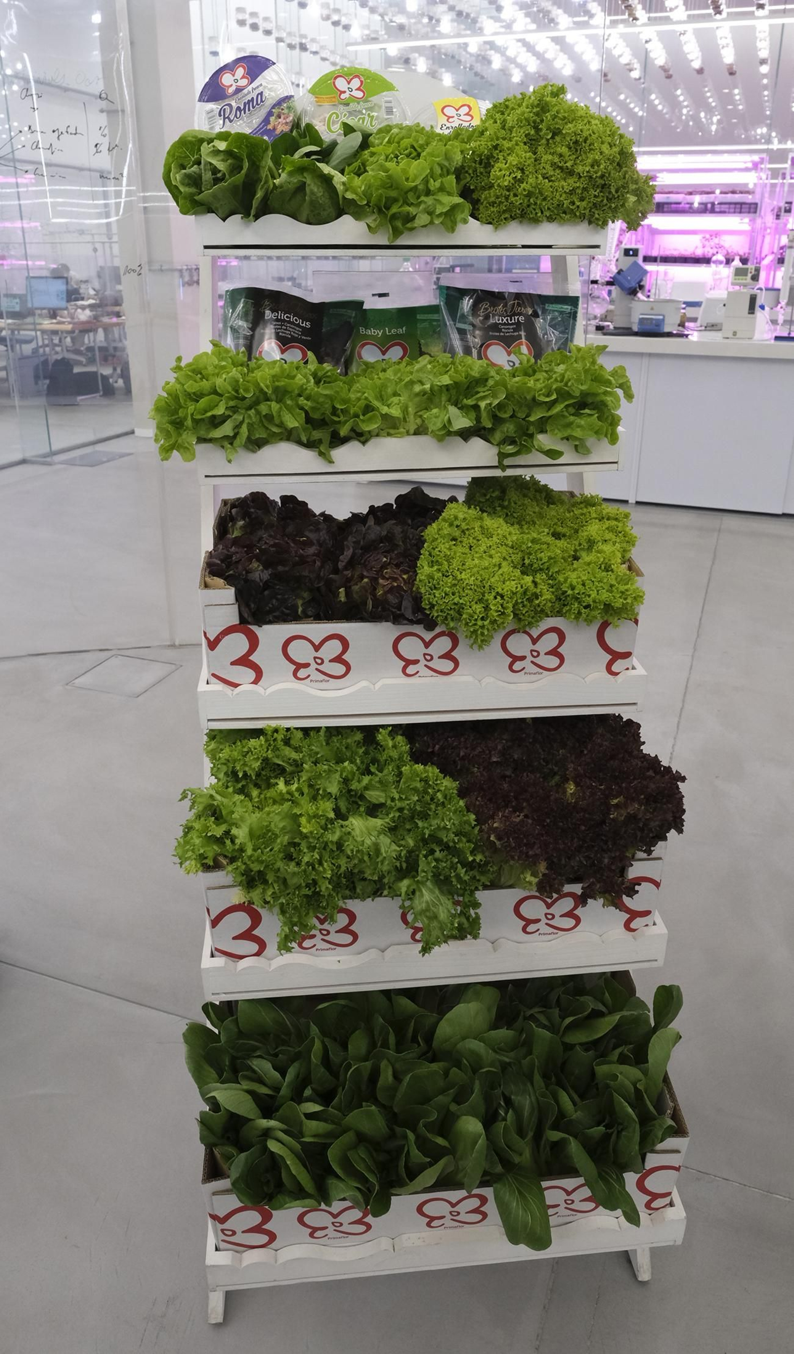 Fotogalería Kimitec-Primafor