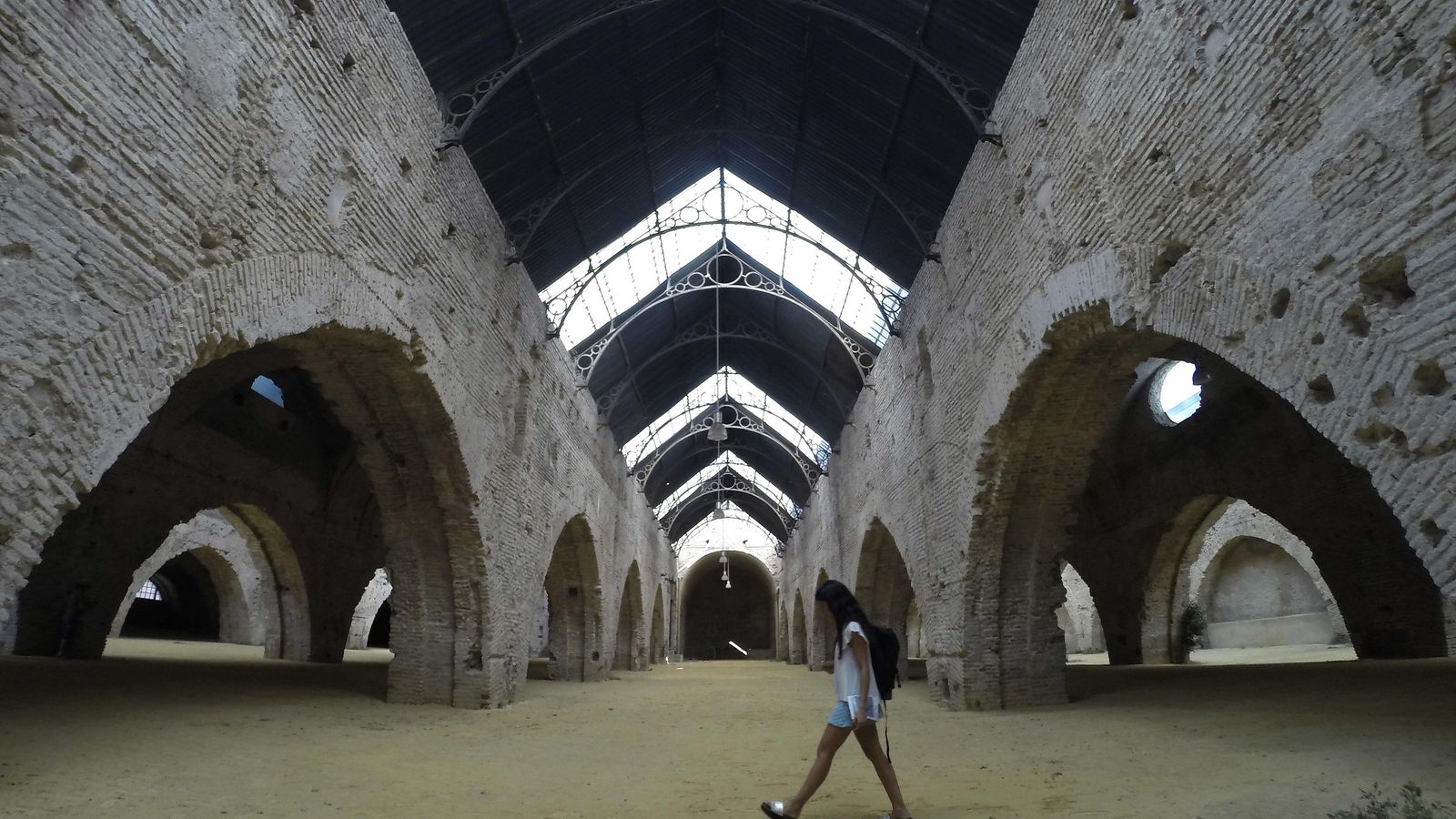 Las Reales Atarazanas de Sevilla.