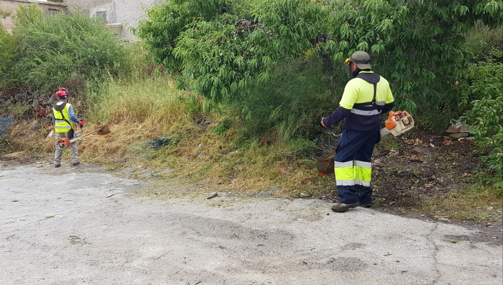 Serón acomete un plan de desbroce y limpieza de caminos y senderos de cara al verano