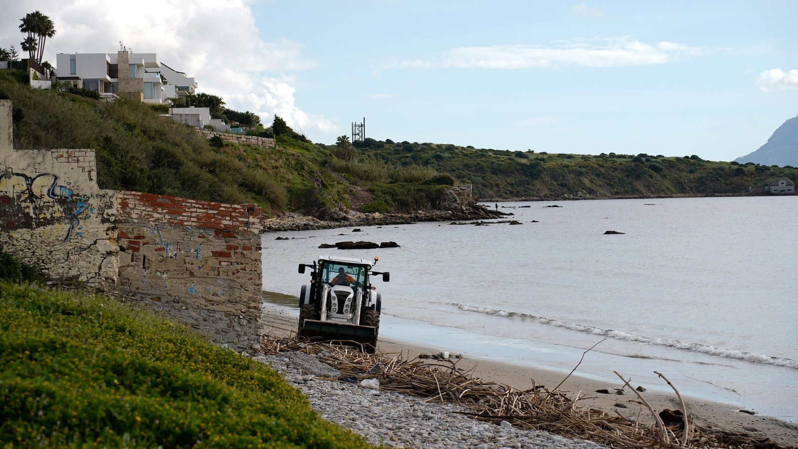 Fotos de la playa de Getares llena de cañas y desechos