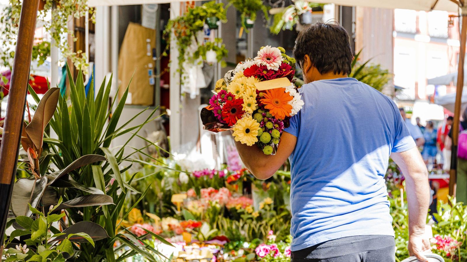 San Valentín 2024: la flor perfecta para cada tipo de cita ¿Cuál es la tuya?