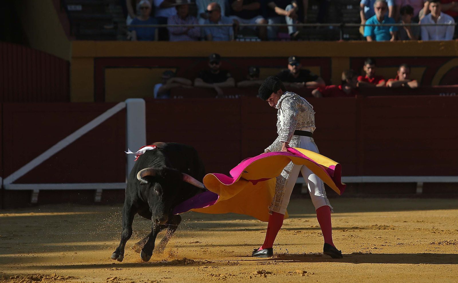 La novillada de Miguelín que abre la feria de Algeciras, en imágenes