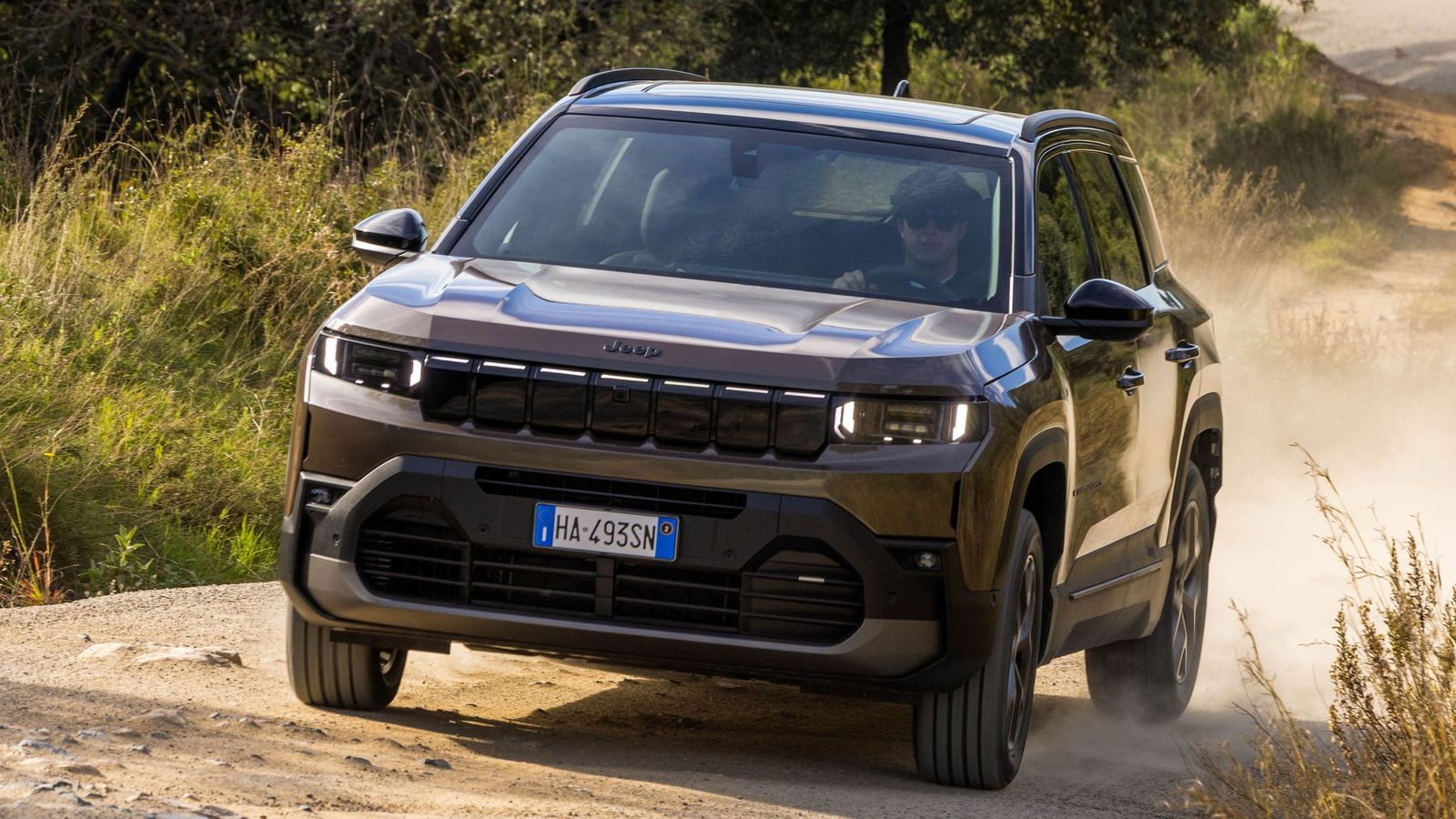 En algunos acabados, y en combinación con los faros matriciales, la parrilla está iluminada con tiras de leds.