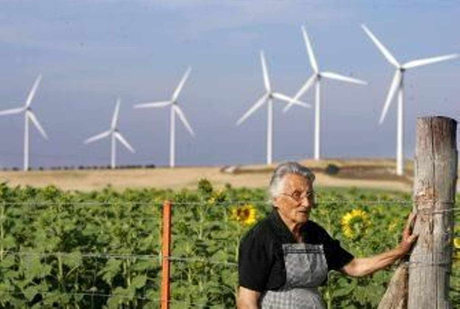 Jerez tiene un nuevo parque eólico con la mayor potencia de la provincia