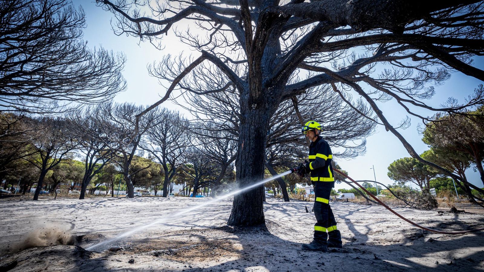 Los bomberos, refrescando durante la mañana del martes la tierra, aún humeante. Los bomberos, refrescando durante la mañana del martes la tierra, aún humeante.