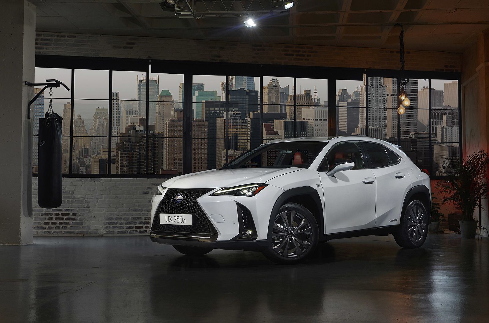 Lexus aumentará más de un 40% sus ventas en 2019 con la llegada del nuevo UX