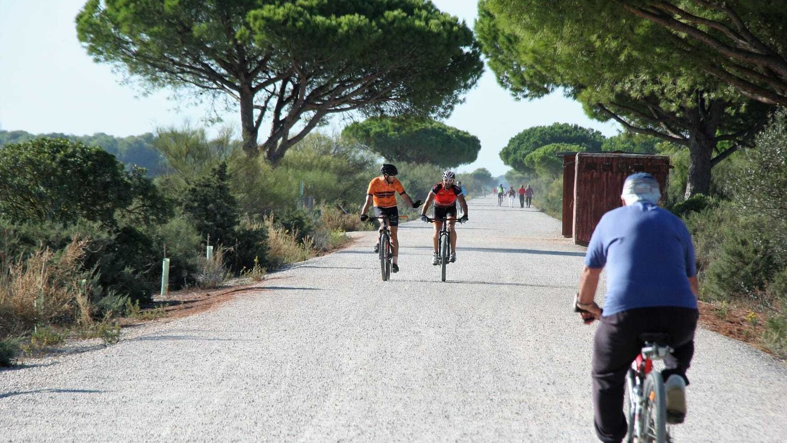Las bicicletas recorren a diario los senderos del parque de Los Toruños.