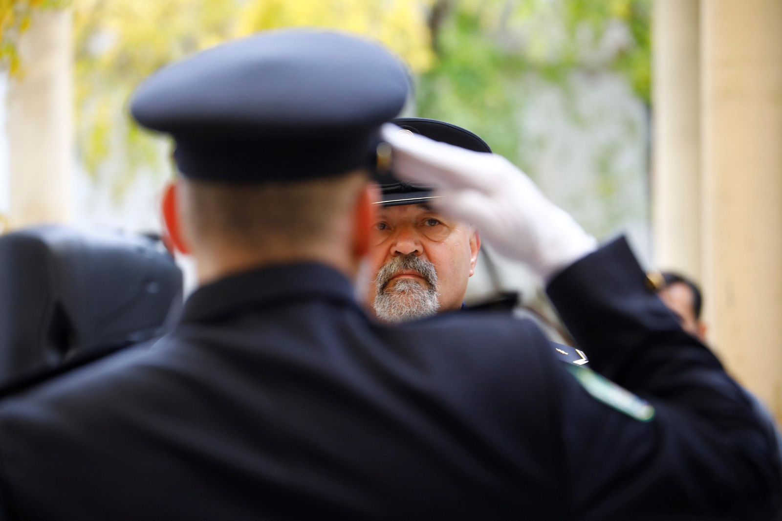 El izado de la bandera de Andalucía en Córdoba por 4l 4-D, en imágenes