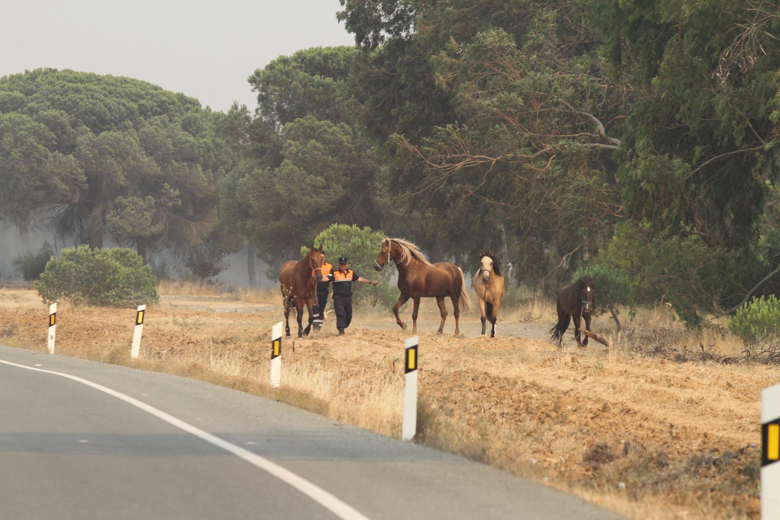 Las imágenes del incendio en Moguer y Mazagón