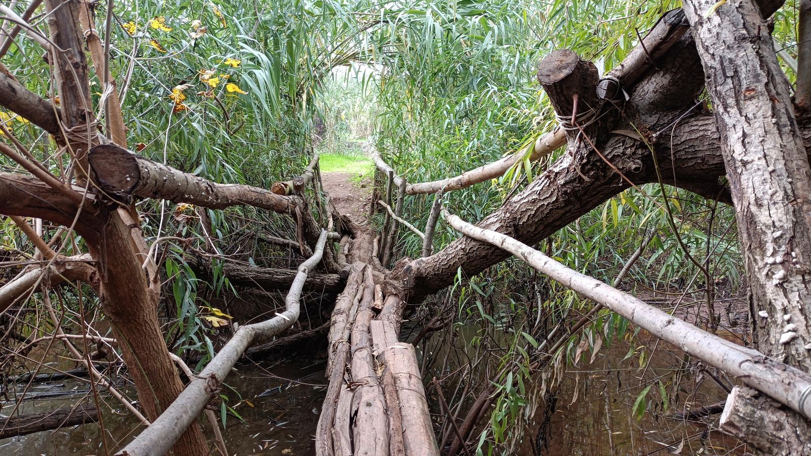 A la vuelta, es posible que perdamos el desvío al puente que cruza el Viar. Hay que estar atentos. A la vuelta, es posible que perdamos el desvío al puente que cruza el Viar. Hay que estar atentos.