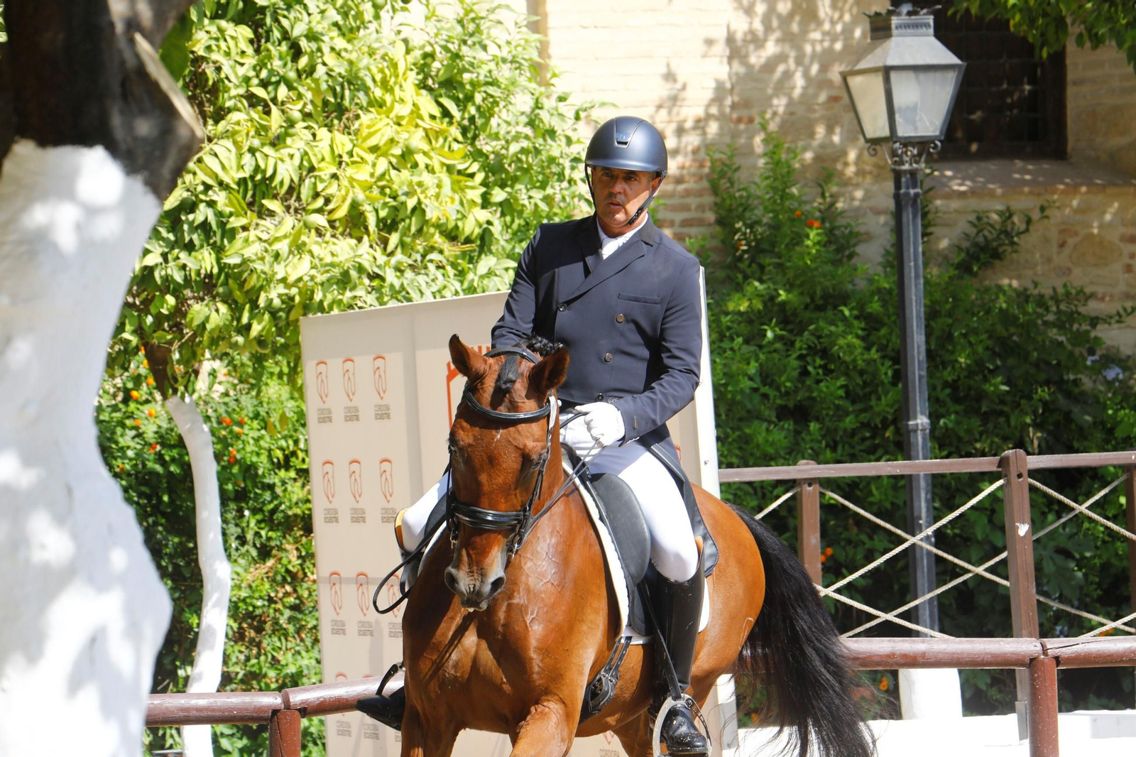 El concurso nacional de Doma Clásica en las Caballerizas Reales de Córdoba