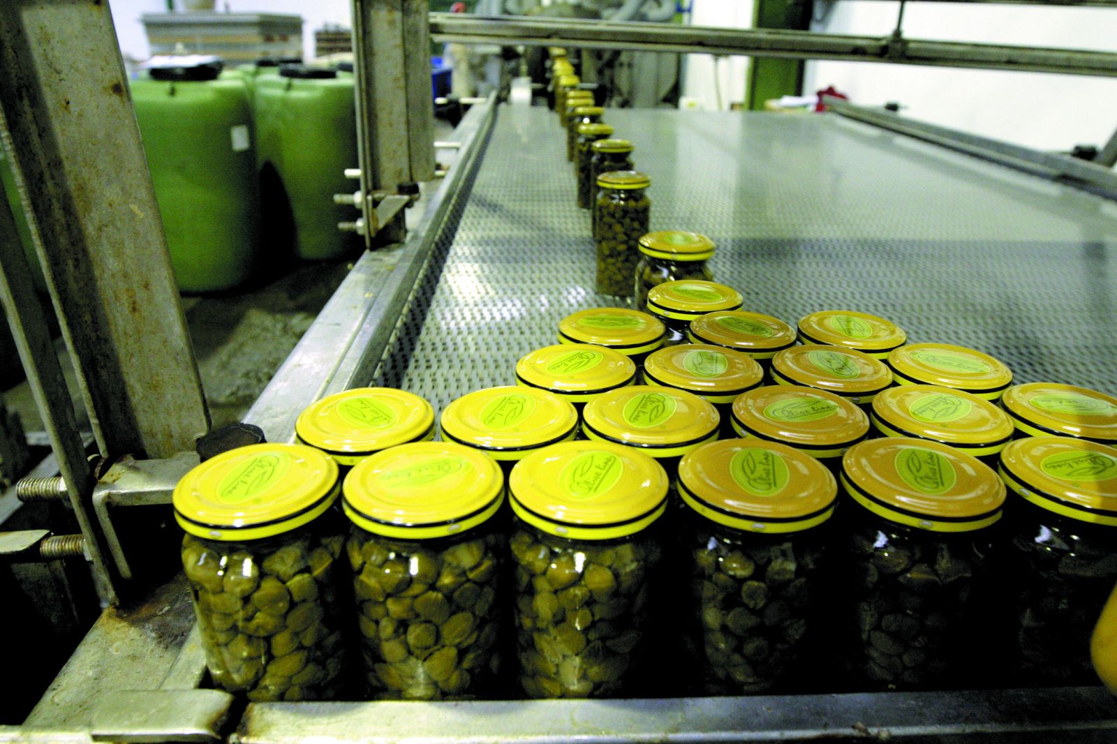 Envasado de alcaparras en una planta transformadora.