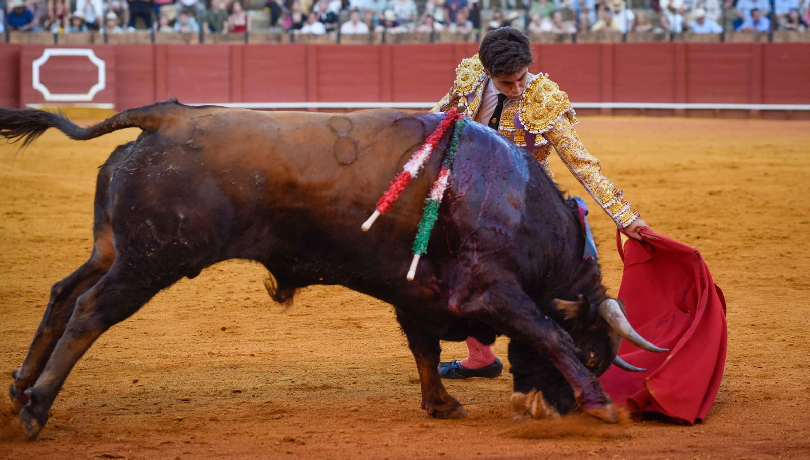 Final de la sexta edición del Circuito de Novilladas de Andalucía