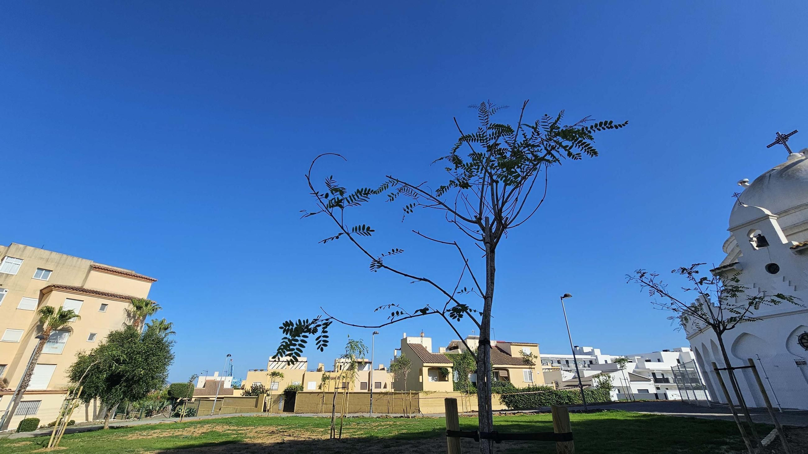 Fotos de los nuevos 12.000 metros cuadrados de zonas verdes de la Ermita, en Algeciras Fotos de los nuevos 12.000 metros cuadrados de zonas verdes de la Ermita, en Algeciras