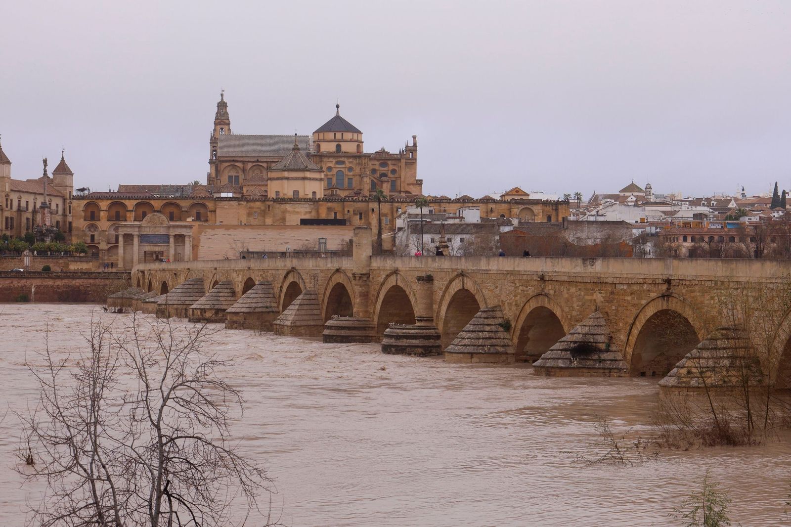 Así pasa el río Guadalquivir este lunes por Córdoba