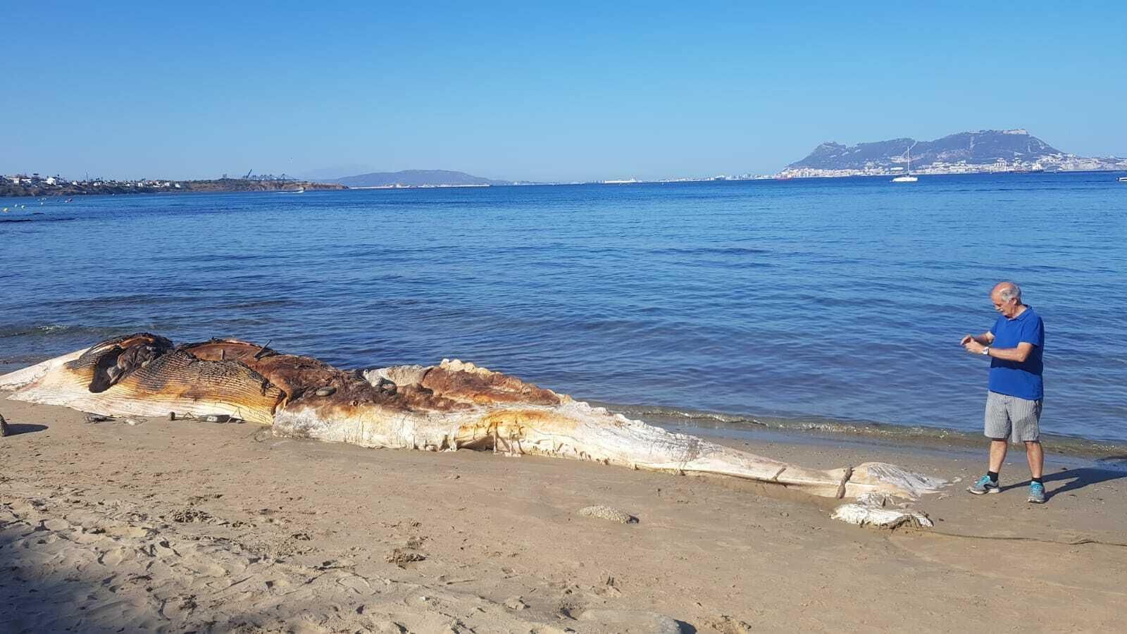 El cadáver de la  ballena, en Getares
