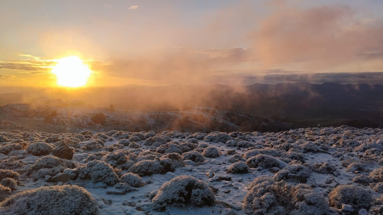 El Parque Nacional Sierra de las Nieves cubierto por una fina capa de nieve