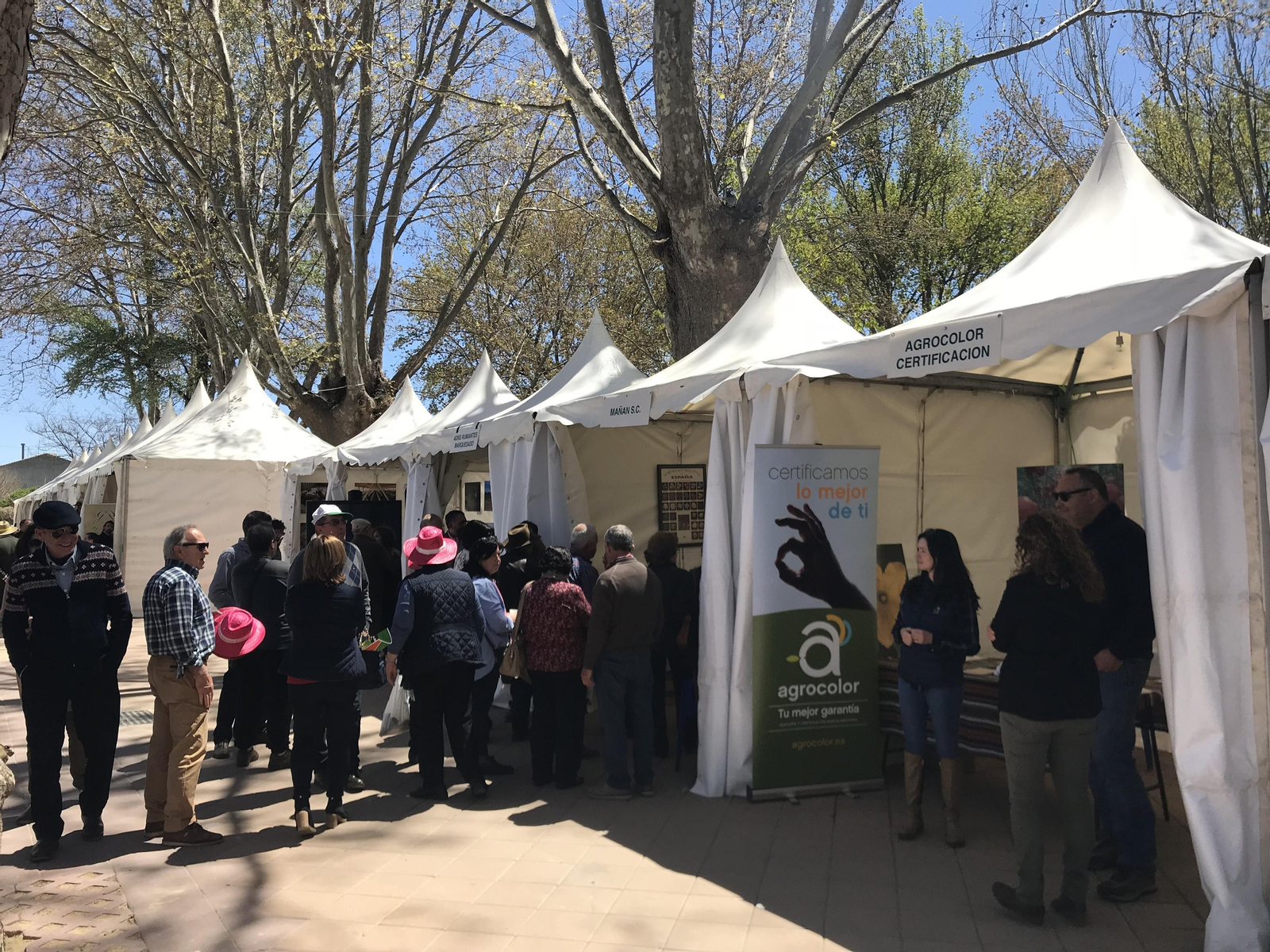Imágenes de Terracultura 2019, en Chirivel