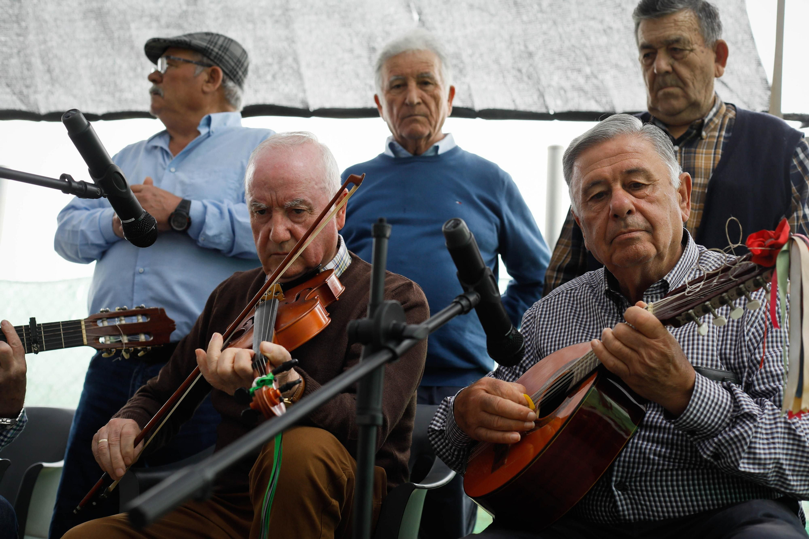 Galería de la Feria  de ganado en Tarambana