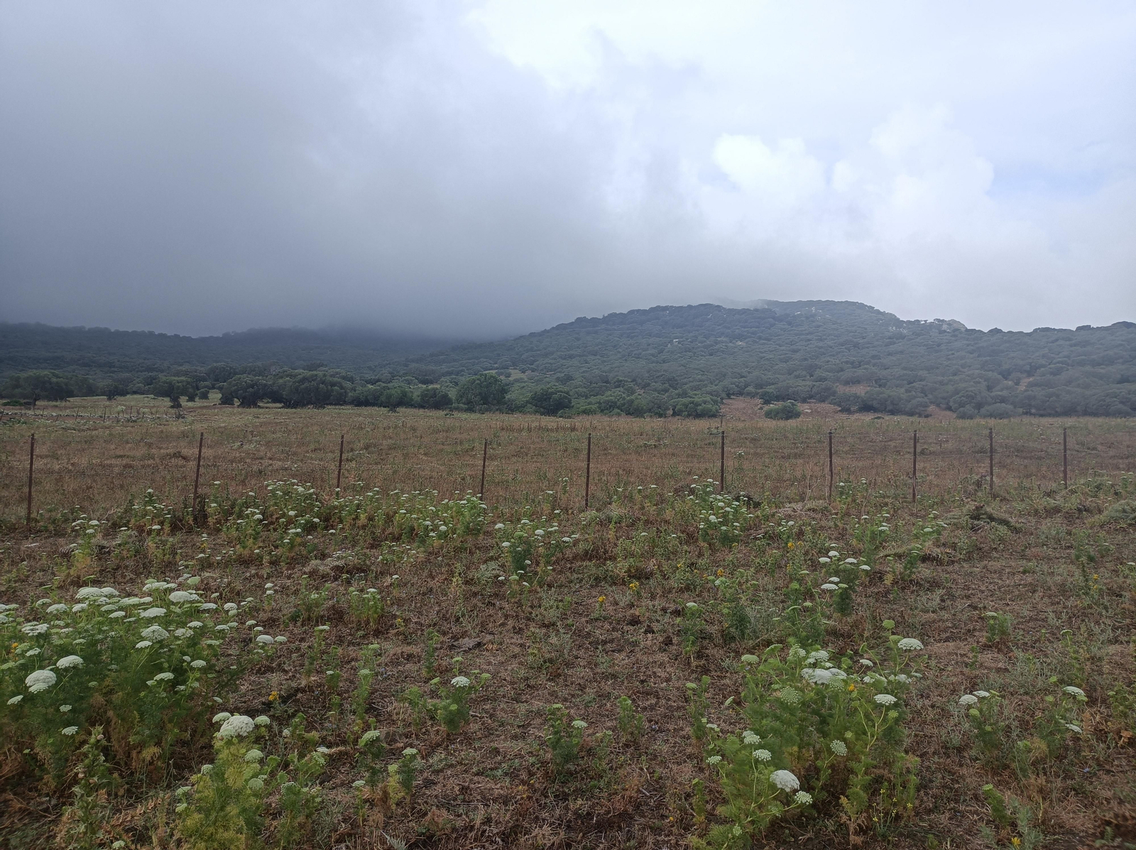 La Sierra de la Plata que acabamos de atravesar.