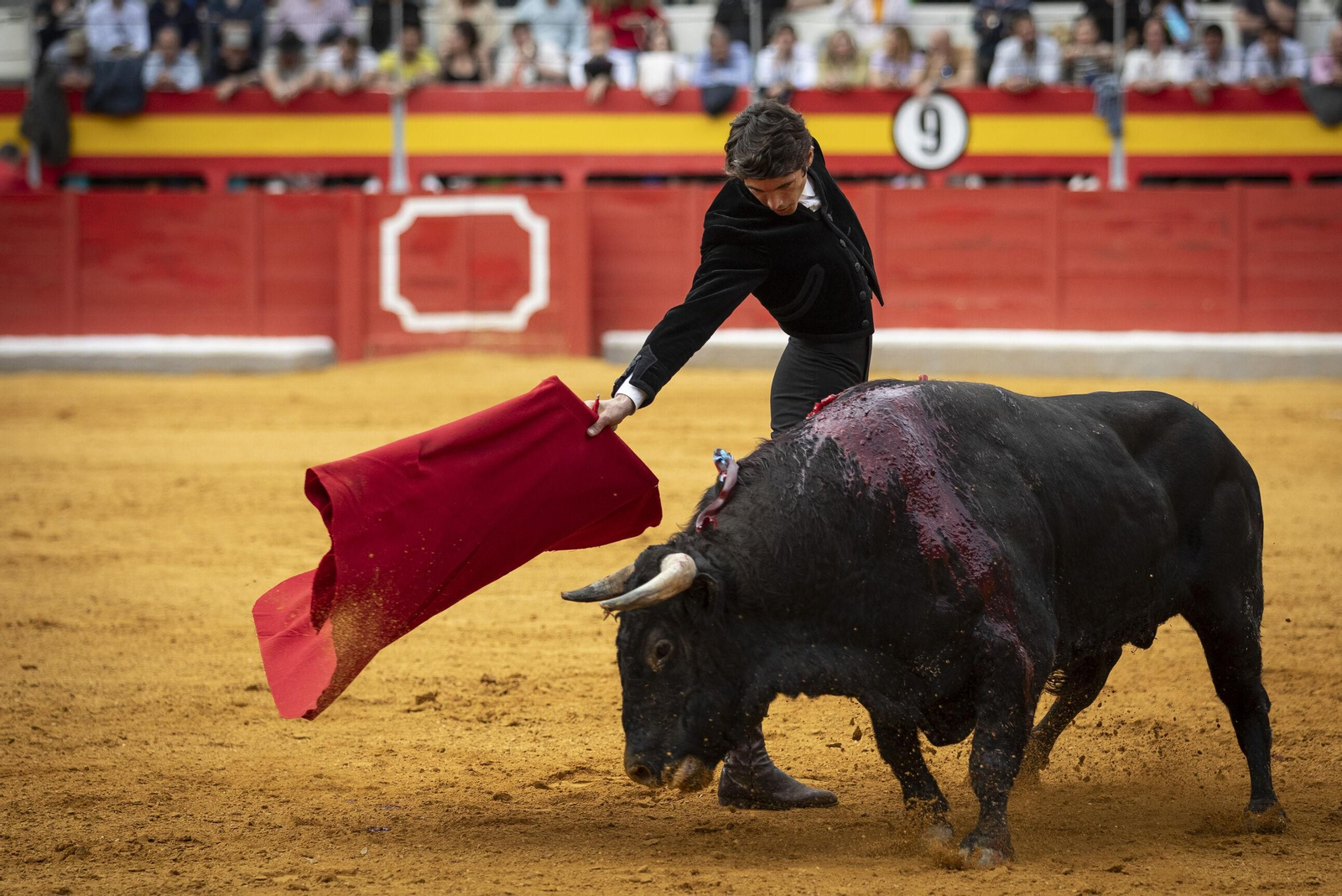 El Festival Taurino a beneficio de Granadown, en imágenes