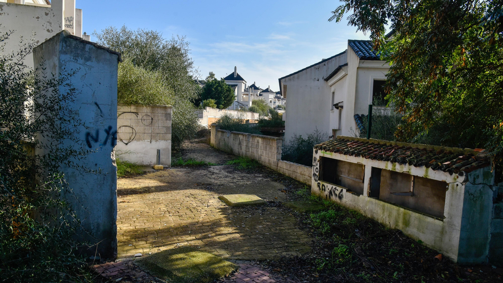 Fotos de la urbanización abandonada en Cortijo Grande, en Los Barrios
