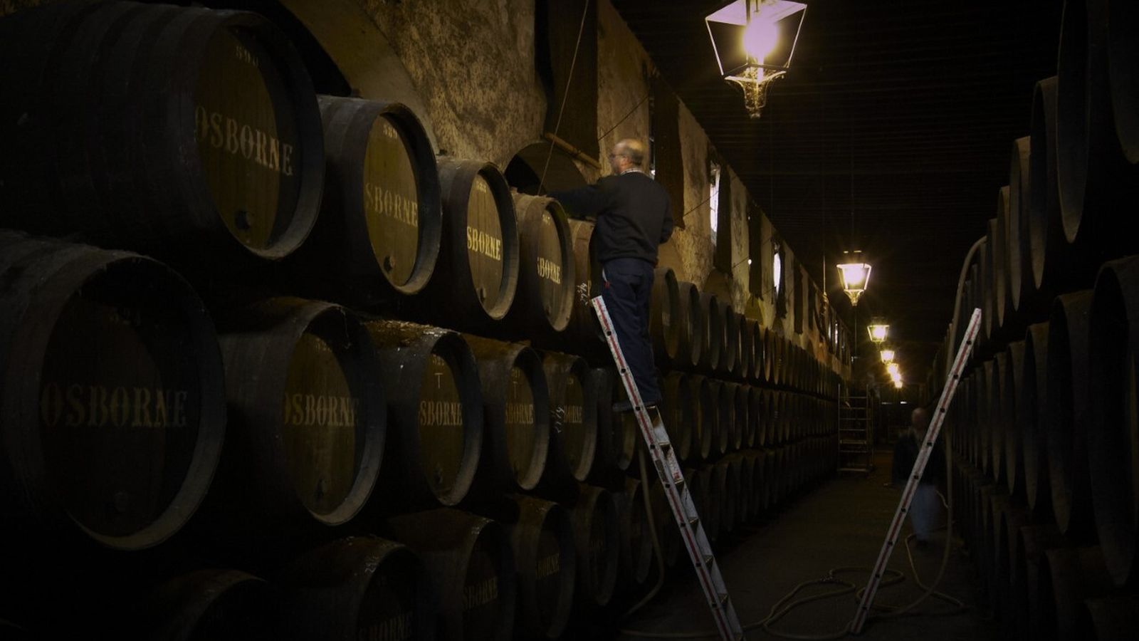 Paco Ponce en la bodega VORS de Osborne, en El Puerto