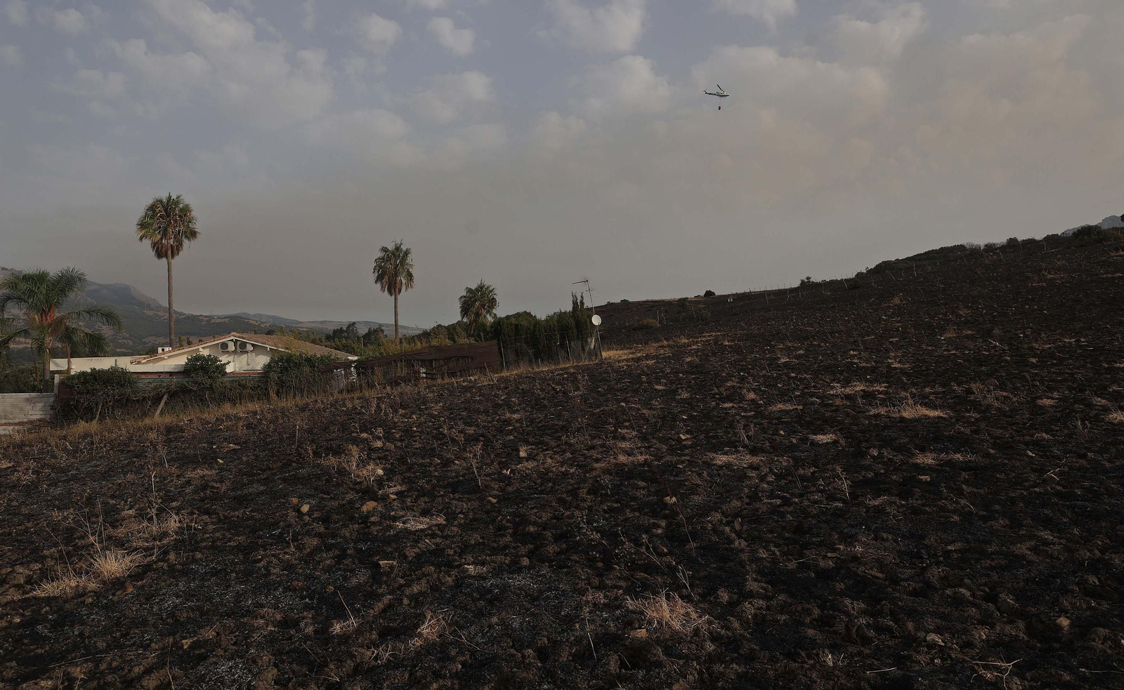Fotos del incendio forestal de Torre de la Peña en Tarifa