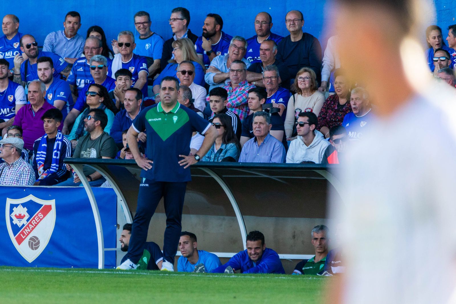 Las imágenes de la afición del Córdoba CF en Linares