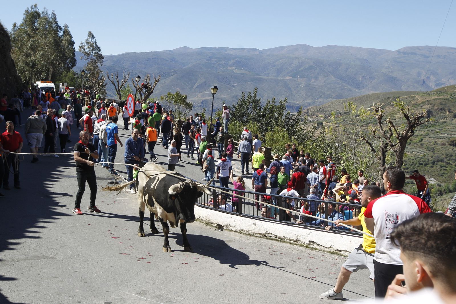 Fotogalería Tosos Ensogaos Ohanes. Fiestas San Marcos.